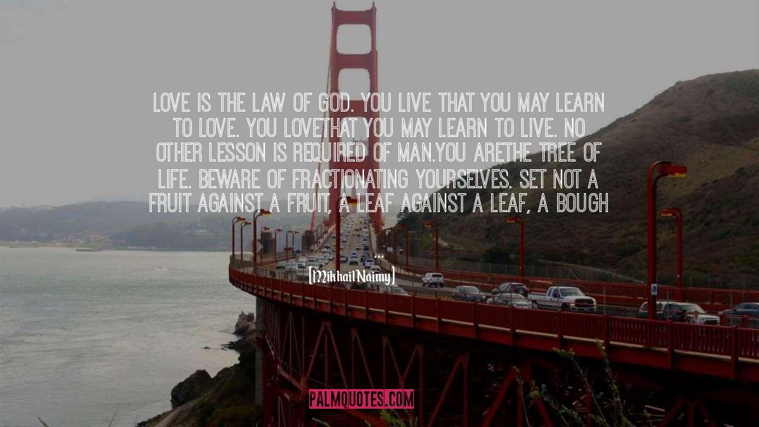 Mikhail Naimy Quotes: Love is the law of