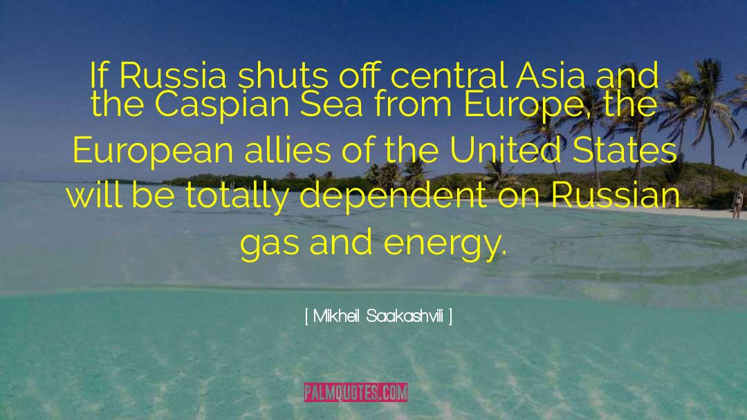 Mikheil Saakashvili Quotes: If Russia shuts off central