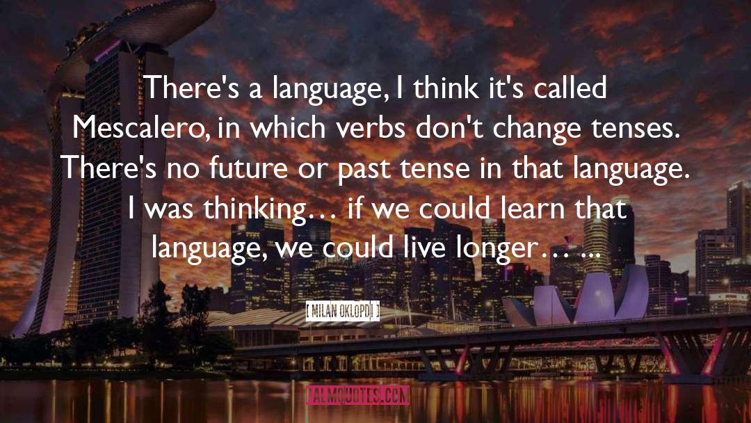 Milan Oklopdžić Quotes: There's a language, I think