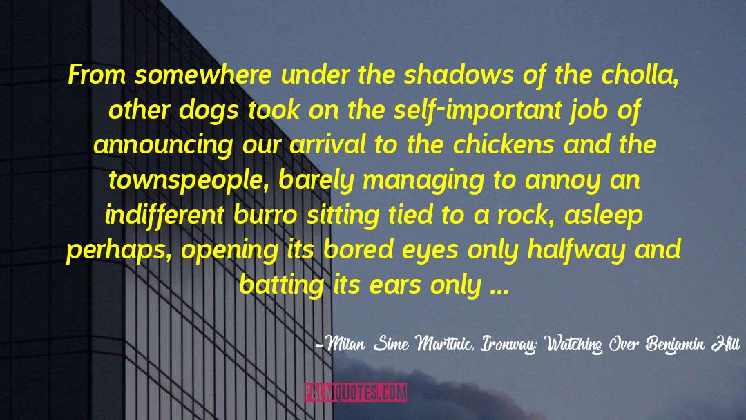 -Milan Sime Martinic, Ironway: Watching Over Benjamin Hill - Quotes: From somewhere under the shadows
