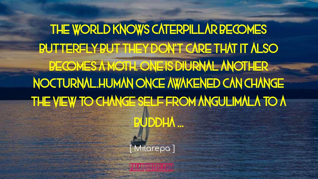 Milarepa Quotes: The world knows caterpillar becomes