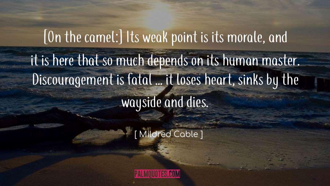 Mildred Cable Quotes: [On the camel:] Its weak