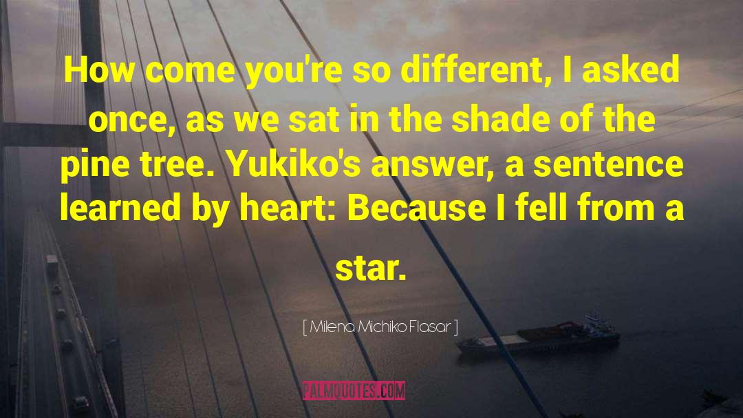 Milena Michiko Flasar Quotes: How come you're so different,