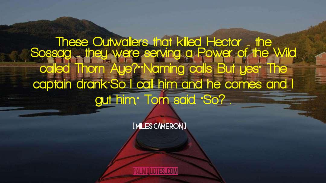 Miles Cameron Quotes: These Outwallers that killed Hector