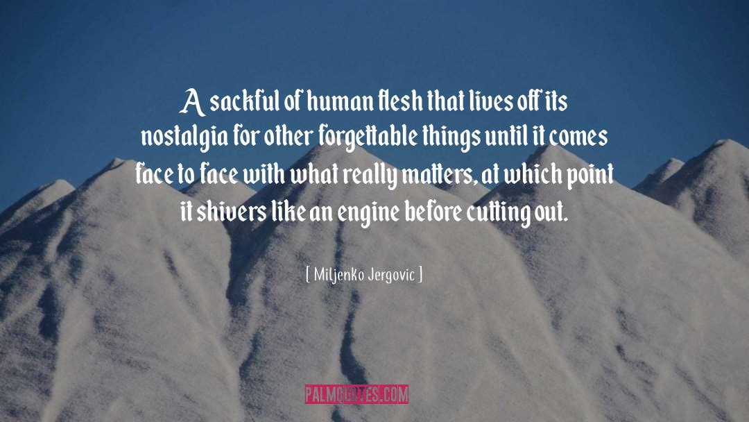 Miljenko Jergovic Quotes: A sackful of human flesh