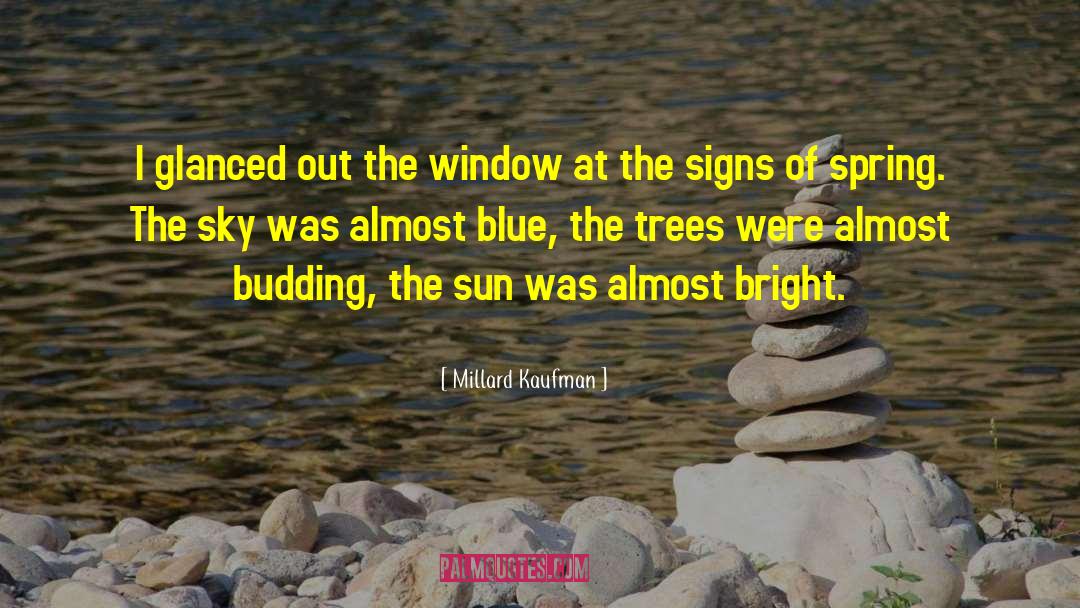 Millard Kaufman Quotes: I glanced out the window