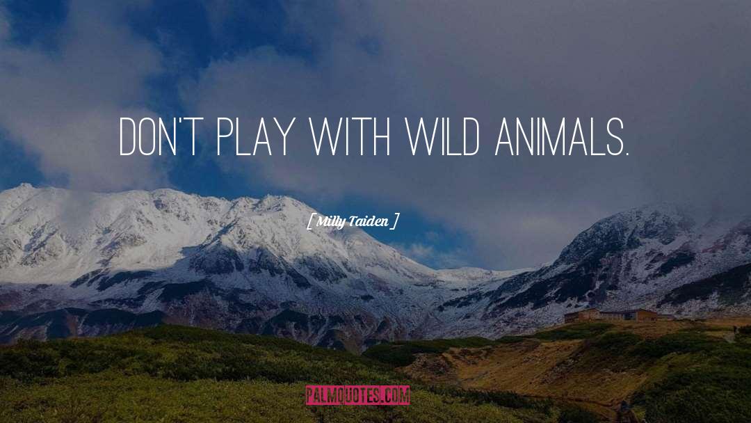 Milly Taiden Quotes: Don't play with wild animals.