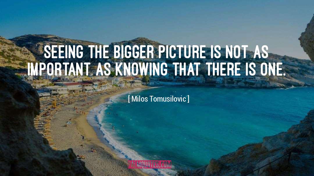 Milos Tomusilovic Quotes: Seeing the bigger picture is