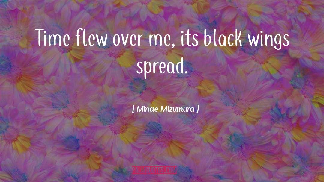 Minae Mizumura Quotes: Time flew over me, its