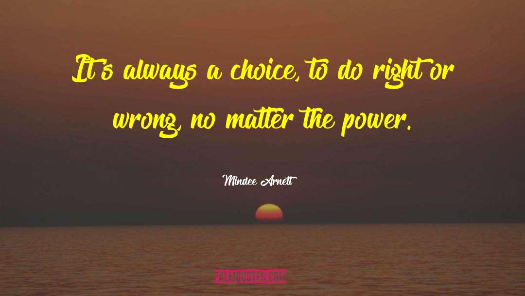 Mindee Arnett Quotes: It's always a choice, to