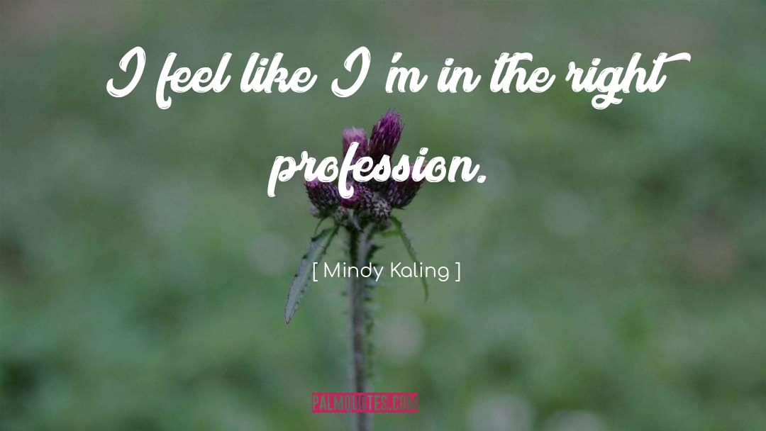 Mindy Kaling Quotes: I feel like I'm in