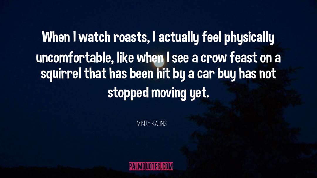 Mindy Kaling Quotes: When I watch roasts, I