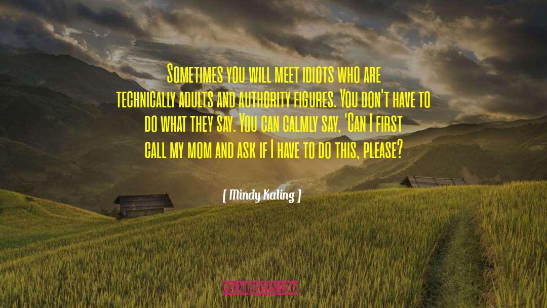 Mindy Kaling Quotes: Sometimes you will meet idiots
