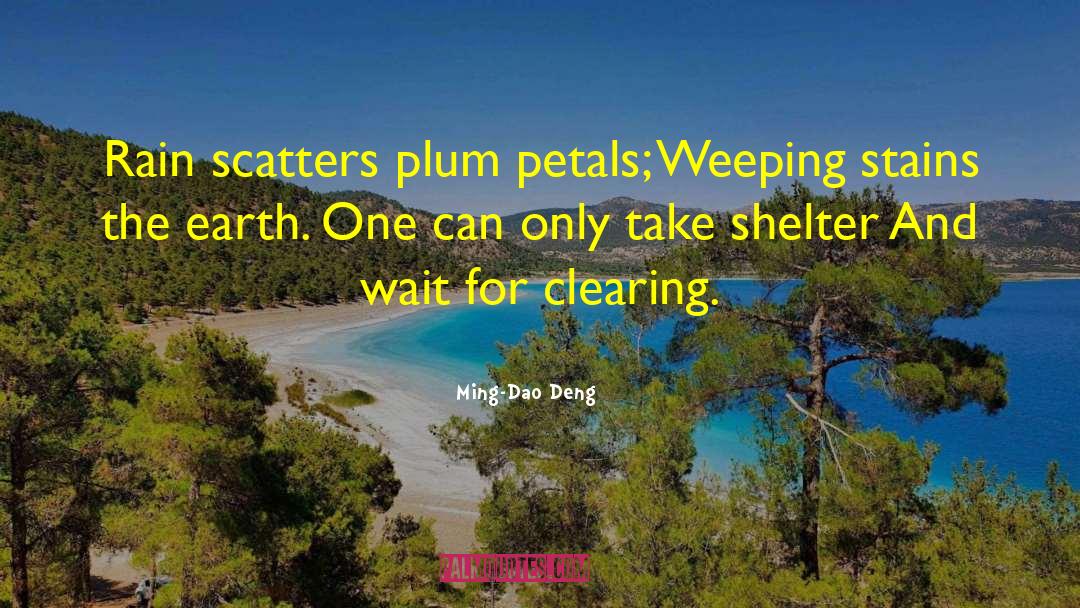 Ming-Dao Deng Quotes: Rain scatters plum petals; Weeping