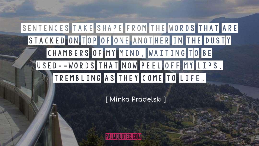 Minka Pradelski Quotes: Sentences take shape from the