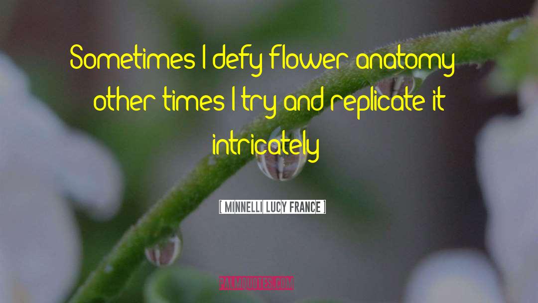 Minnelli Lucy France Quotes: Sometimes I defy flower anatomy