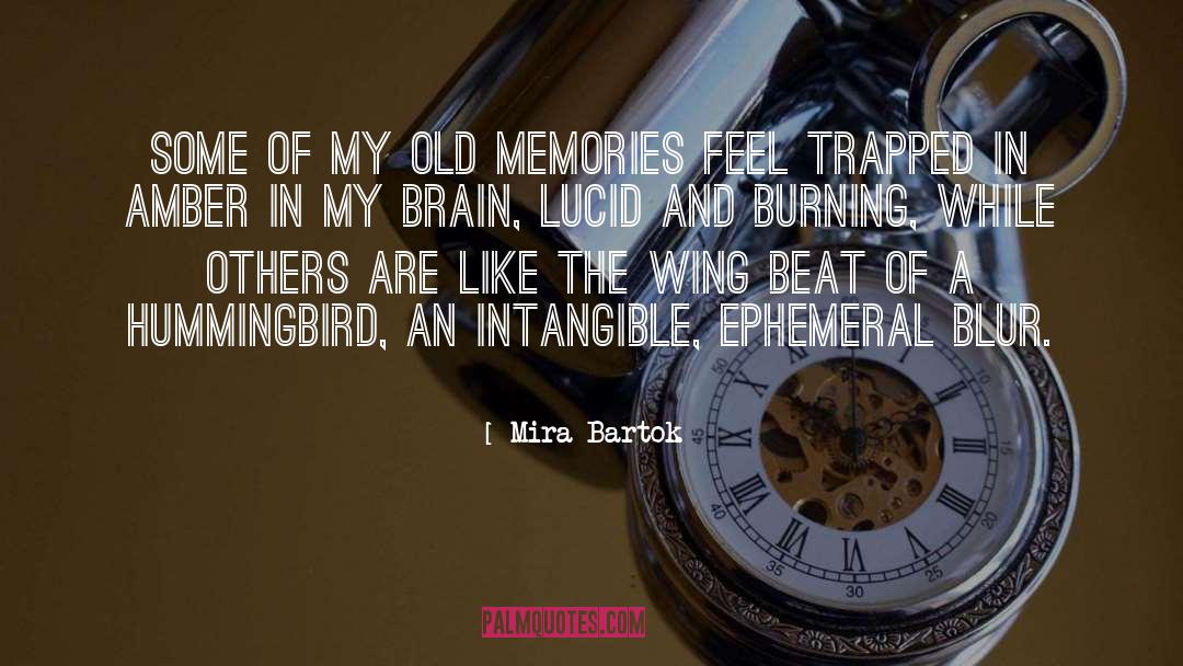 Mira Bartok Quotes: Some of my old memories