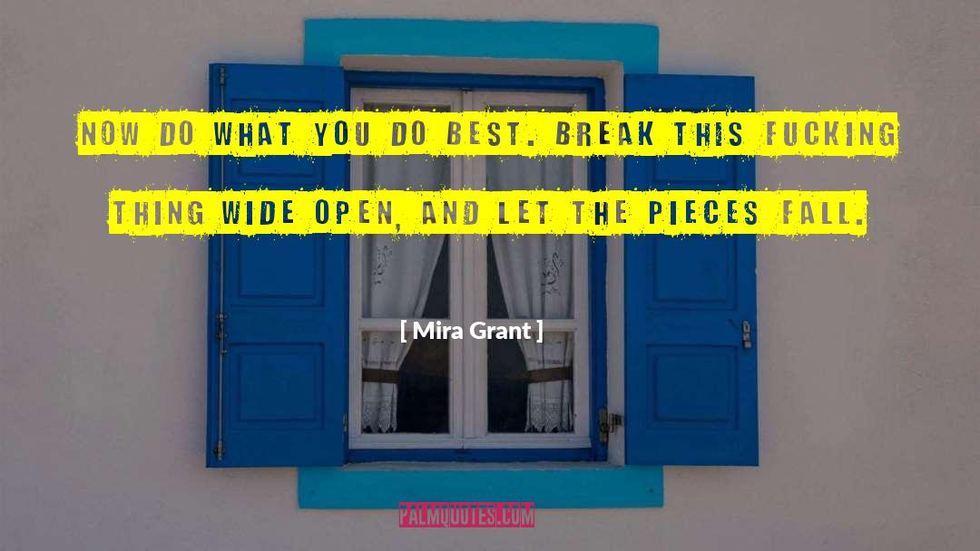 Mira Grant Quotes: Now do what you do