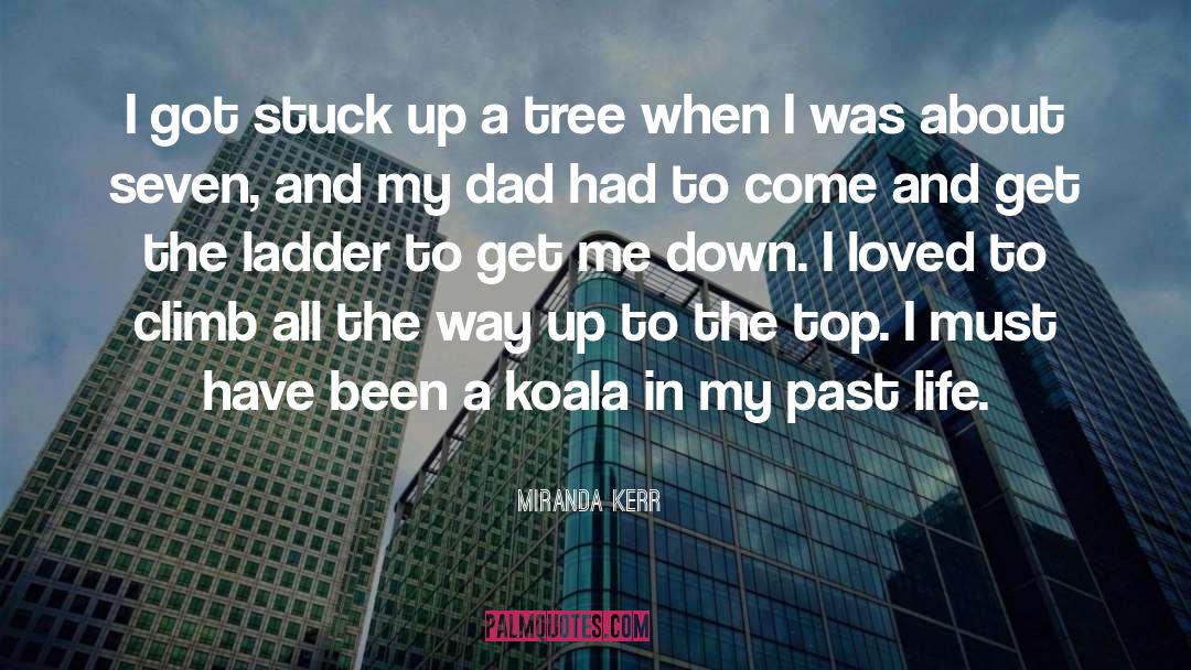 Miranda Kerr Quotes: I got stuck up a