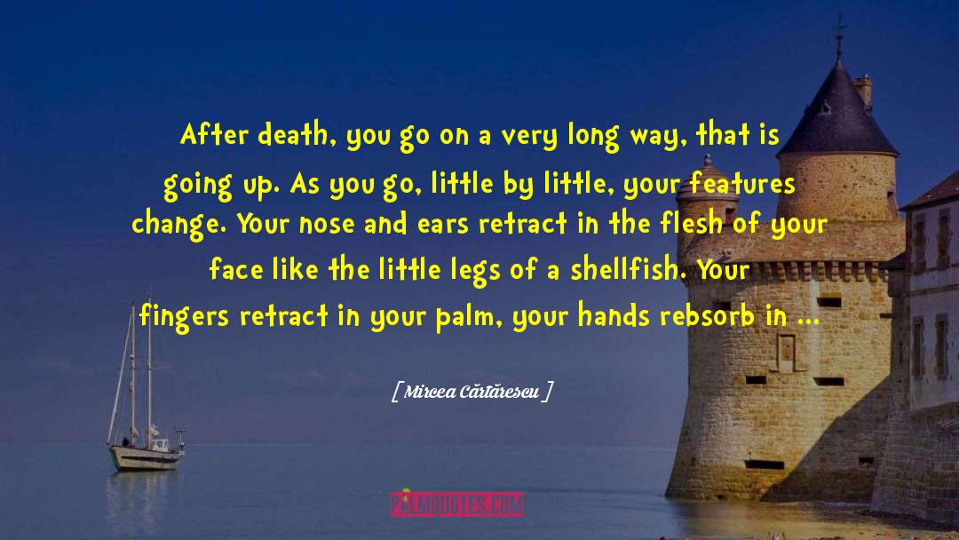 Mircea Cărtărescu Quotes: After death, you go on