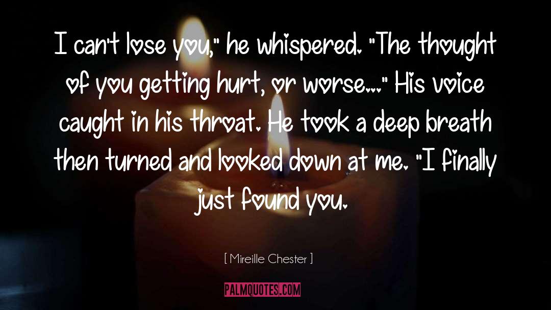 Mireille Chester Quotes: I can't lose you,