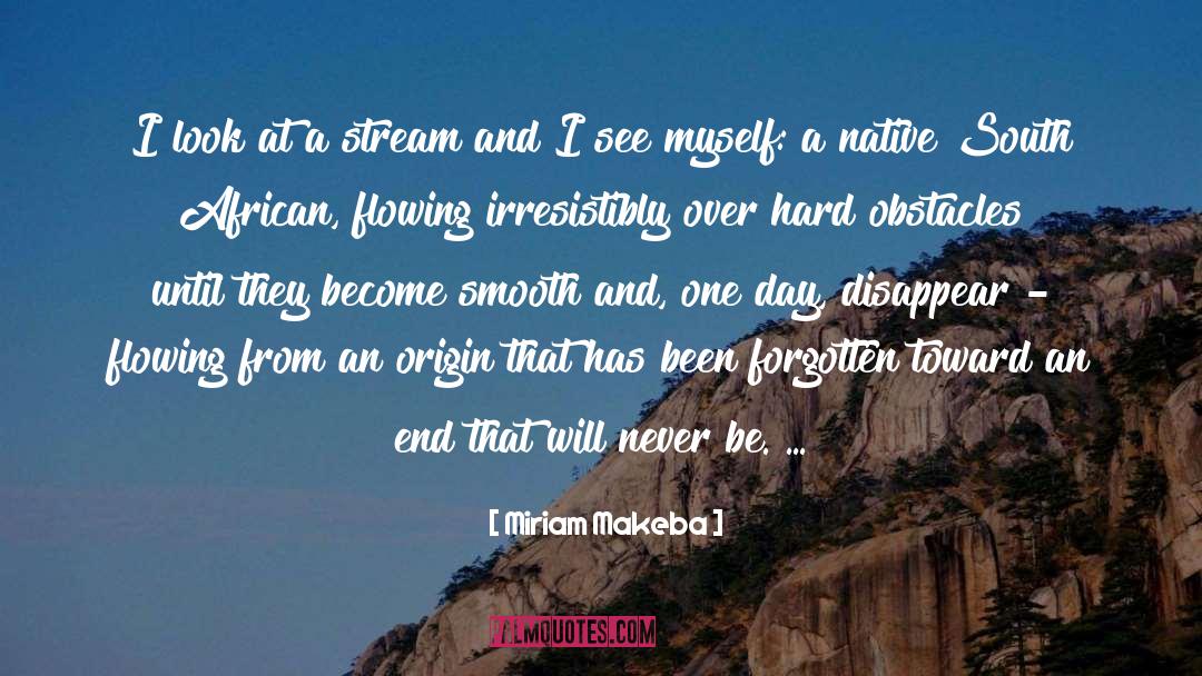 Miriam Makeba Quotes: I look at a stream