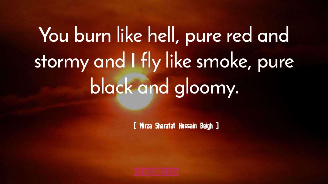 Mirza Sharafat Hussain Beigh Quotes: You burn like hell, pure