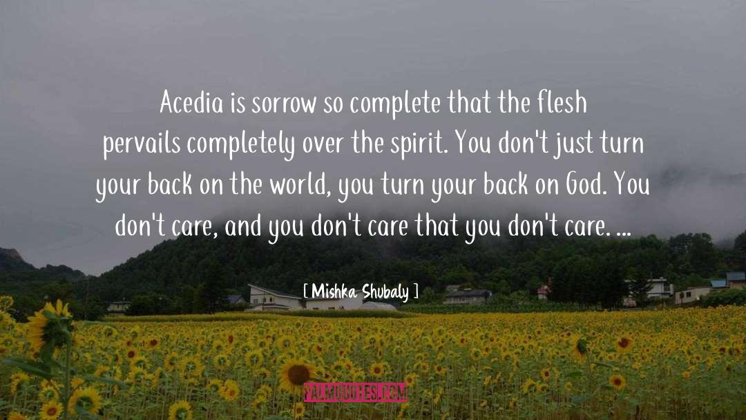 Mishka Shubaly Quotes: Acedia is sorrow so complete