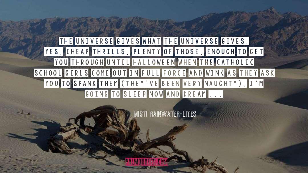 Misti Rainwater-Lites Quotes: The universe gives what the