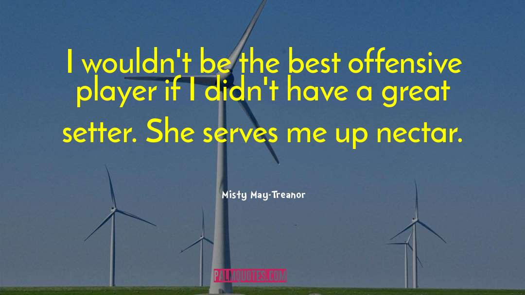 Misty May-Treanor Quotes: I wouldn't be the best