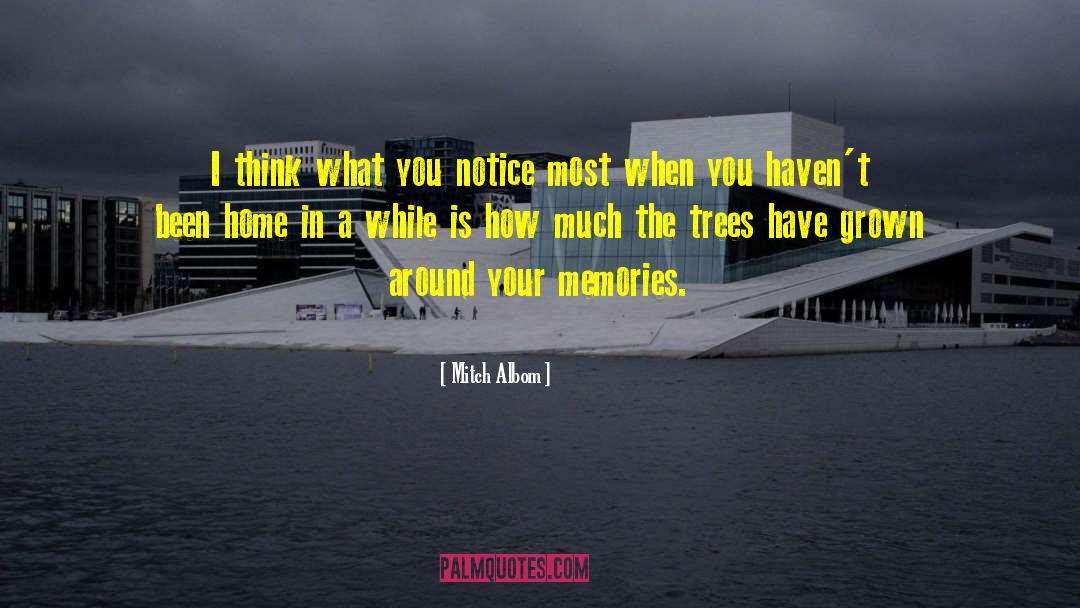 Mitch Albom Quotes: I think what you notice