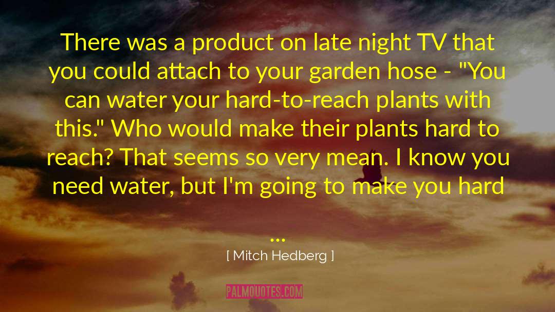 Mitch Hedberg Quotes: There was a product on