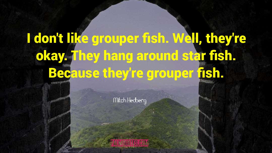 Mitch Hedberg Quotes: I don't like grouper fish.