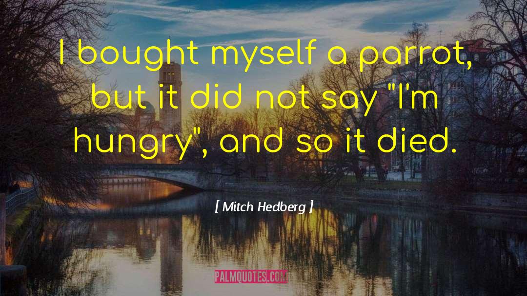 Mitch Hedberg Quotes: I bought myself a parrot,