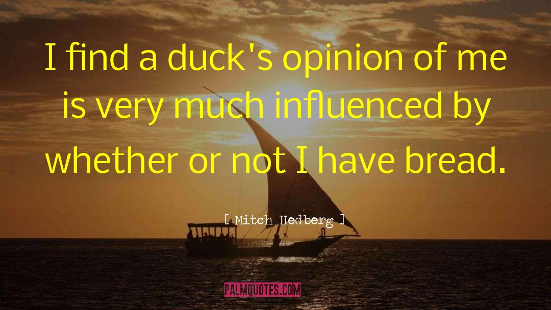 Mitch Hedberg Quotes: I find a duck's opinion