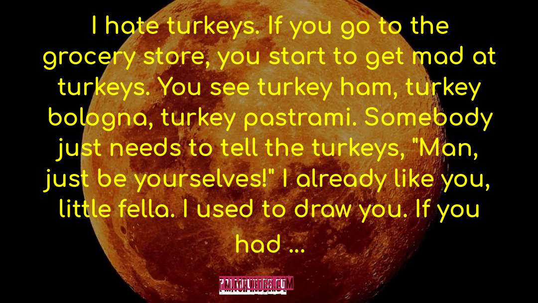 Mitch Hedberg Quotes: I hate turkeys. If you
