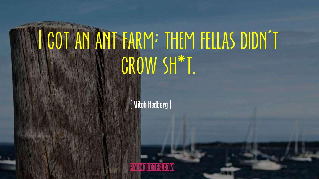 Mitch Hedberg Quotes: I got an ant farm;