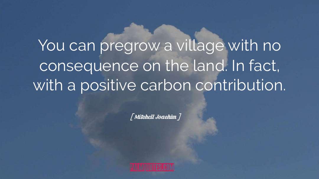 Mitchell Joachim Quotes: You can pregrow a village