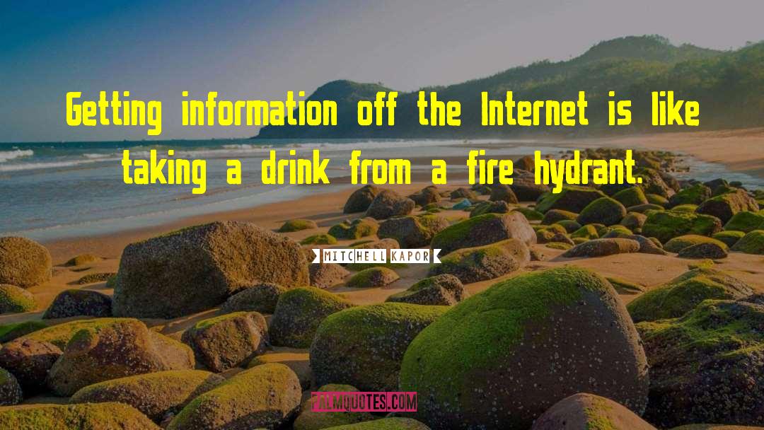 Mitchell Kapor Quotes: Getting information off the Internet