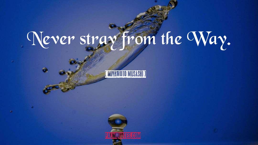 Miyamoto Musashi Quotes: Never stray from the Way.