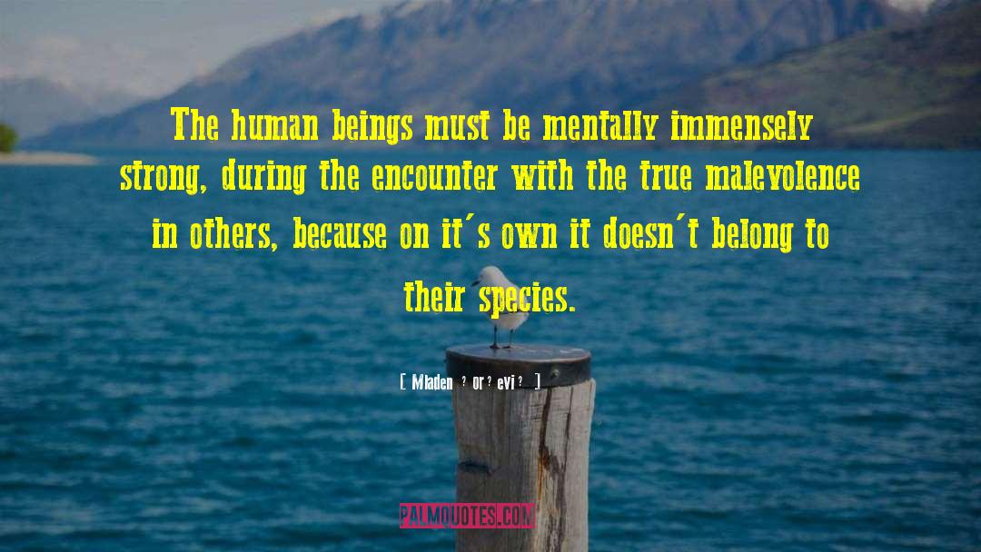 Mladen Đorđević Quotes: The human beings must be