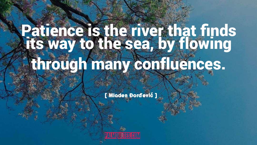 Mladen Đorđević Quotes: Patience is the river that