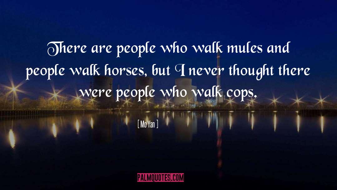 Mo Yan Quotes: There are people who walk