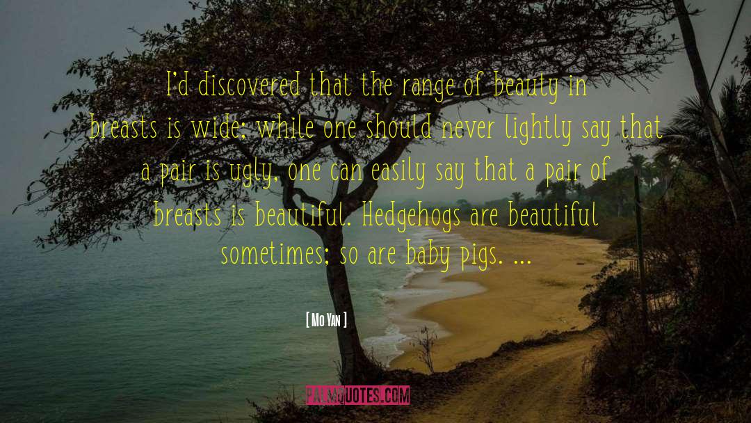 Mo Yan Quotes: I'd discovered that the range