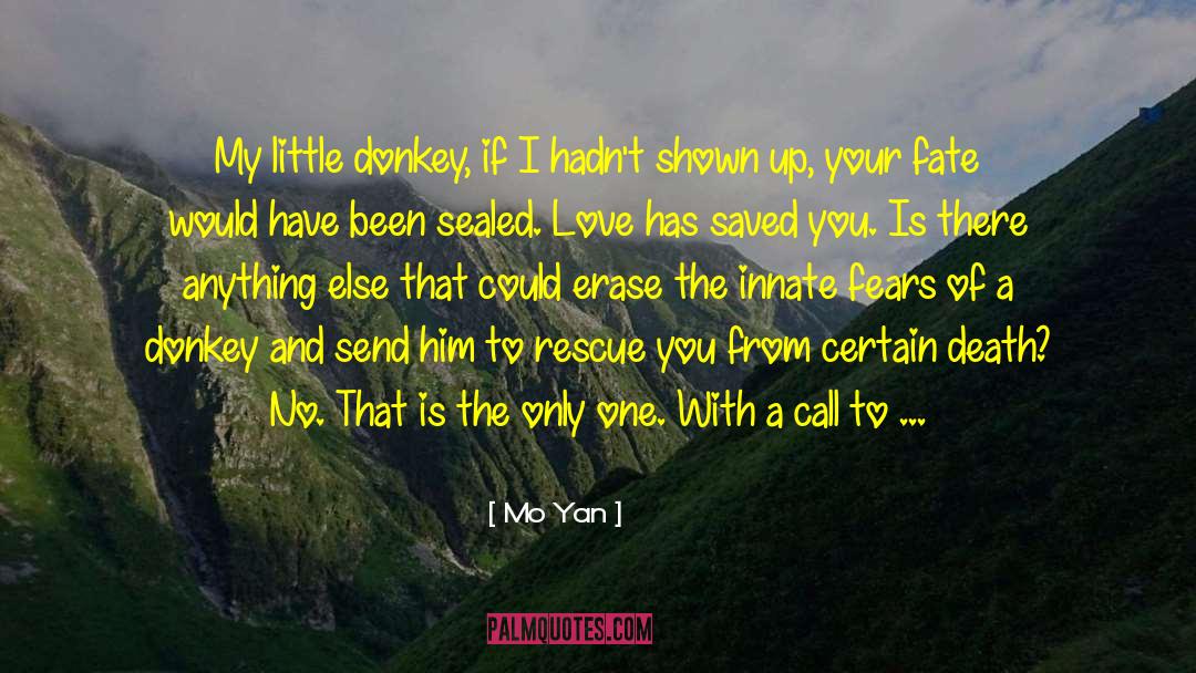 Mo Yan Quotes: My little donkey, if I