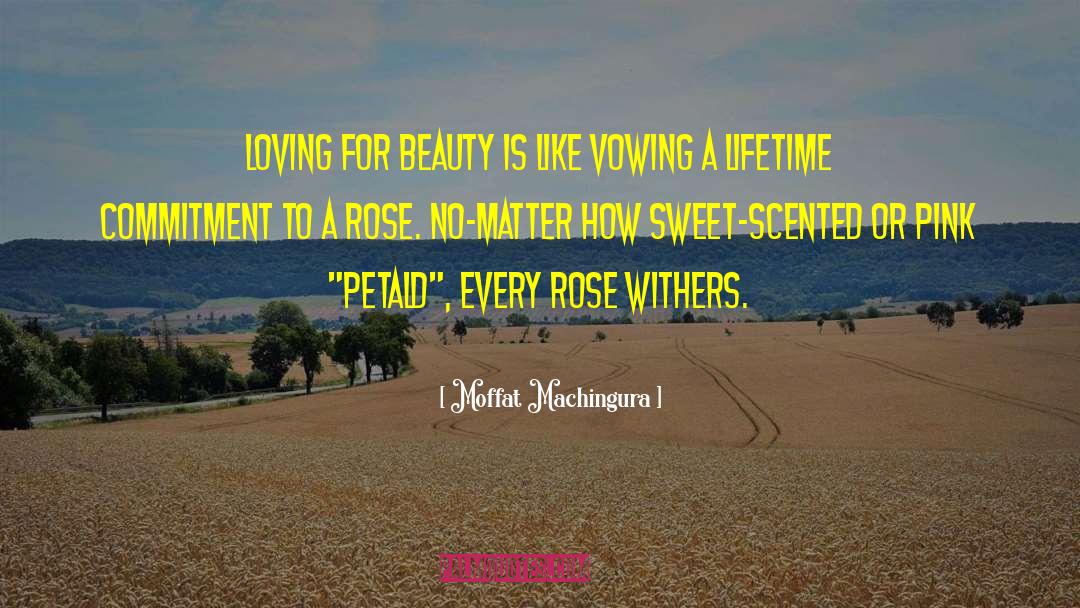 Moffat Machingura Quotes: Loving for beauty is like