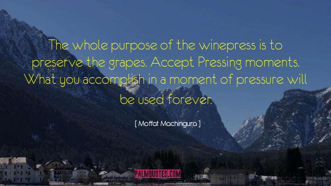 Moffat Machingura Quotes: The whole purpose of the