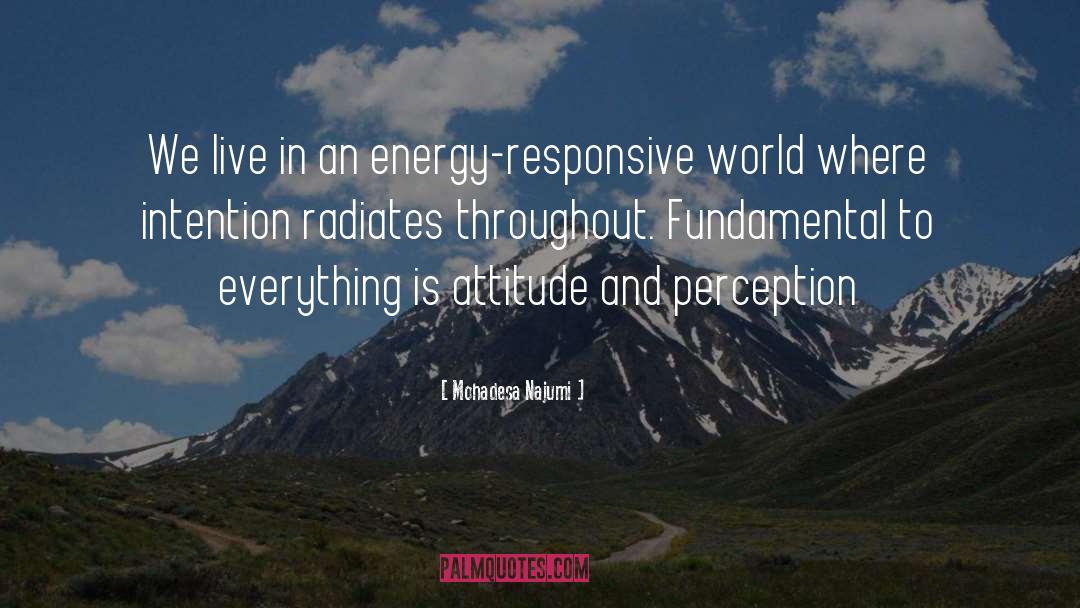 Mohadesa Najumi Quotes: We live in an energy-responsive