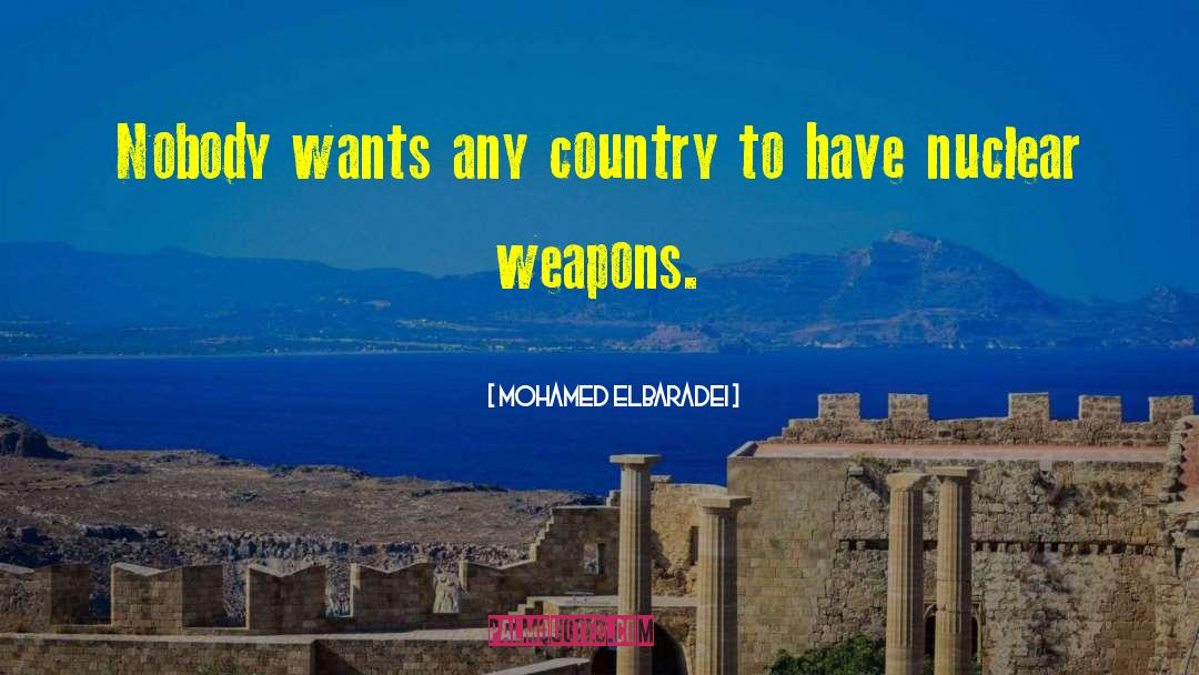 Mohamed ElBaradei Quotes: Nobody wants any country to