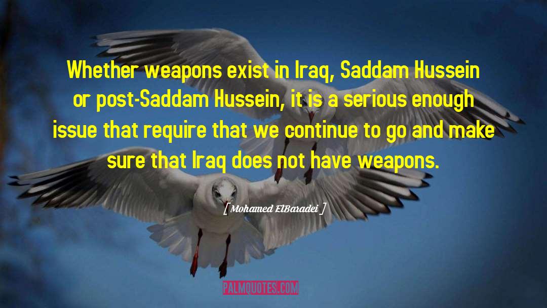 Mohamed ElBaradei Quotes: Whether weapons exist in Iraq,